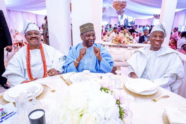 Idris Ajimobi weds Fatima Ganduje (17)